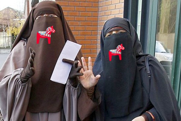islam niqab dalahäst